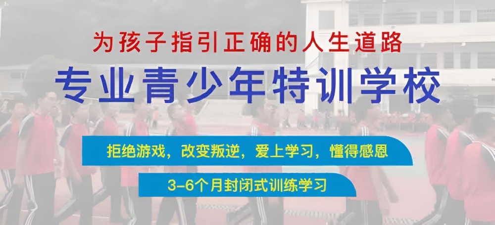 民警處理叛逆學校人員問題：法律界限與解決方案探討